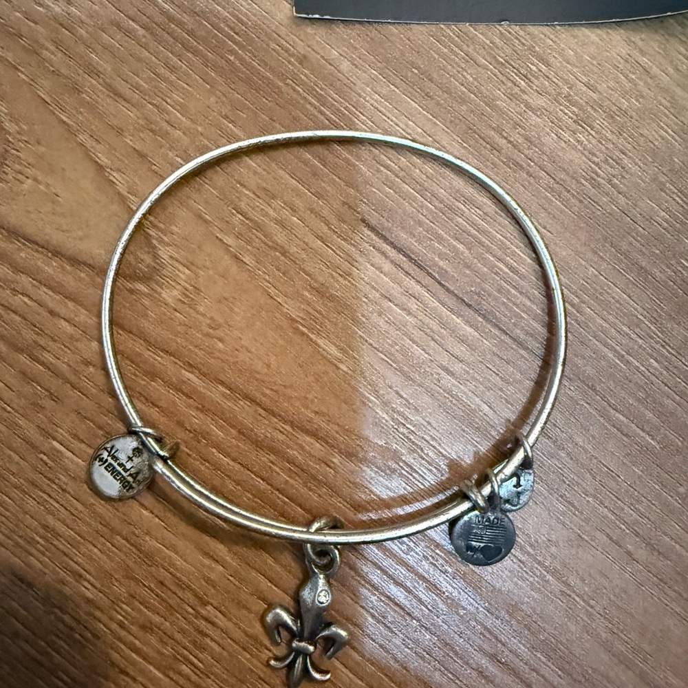 Alex and Ani Silver Charm Bracelet